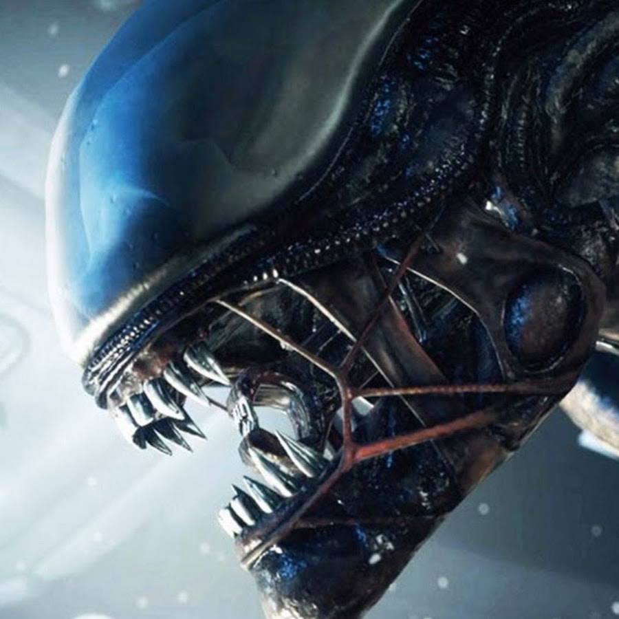 Alien ксеноморф xenomorph. чужой 1 ксеноморф. ксеноморф. чужой 1979 ксеноморф. чужой картинки на рабочий стол.