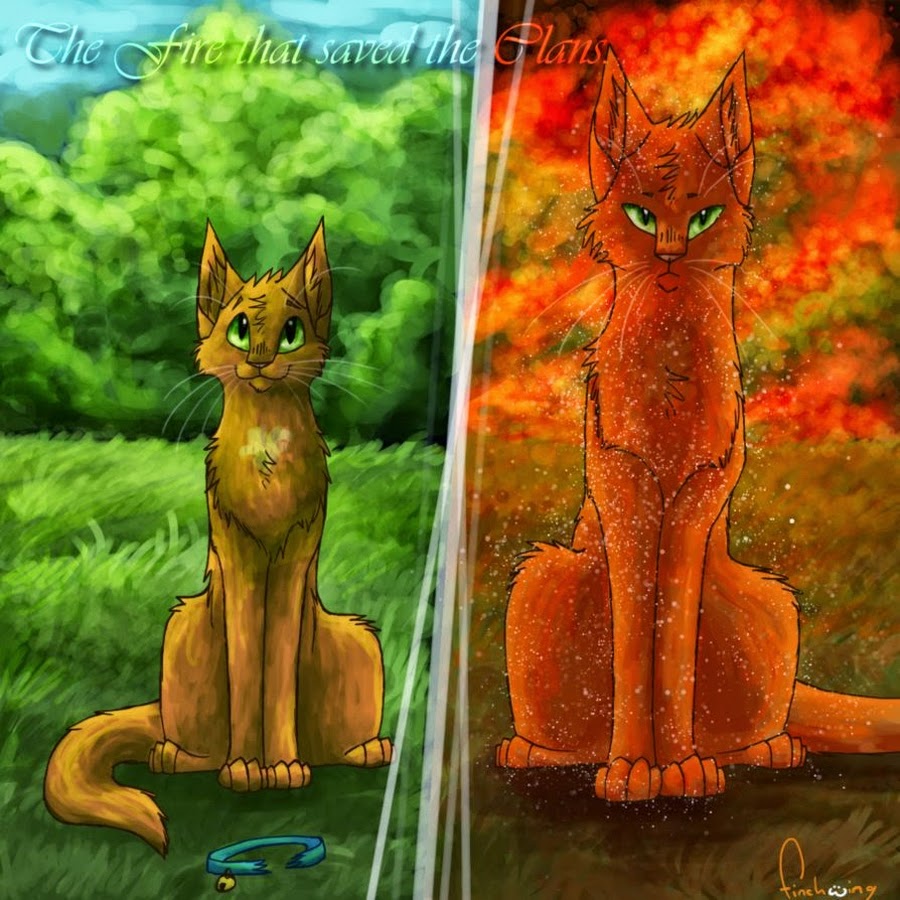 Коты Воители Огнезвезд и Рыжик