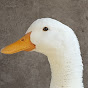 El pato donald - @elpatodonald4921 YouTube Profile Photo