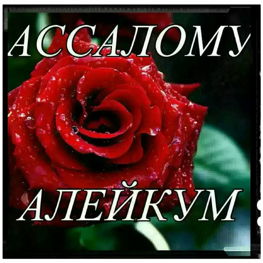 Ассаламу алейкум с розой