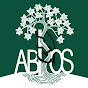 American Board of Orthopaedic Surgery - @ABOS YouTube Profile Photo