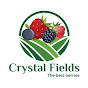 Crystal Fields - @crystalfields6322 YouTube Profile Photo
