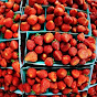 StrawberrySwish YouTube Profile Photo