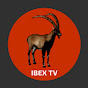 Ibex Nostalgia - @IbexNostalgia YouTube Profile Photo