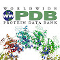 worldwide Protein Data Bank (wwPDB) - @worldwideproteindatabankww1570 YouTube Profile Photo