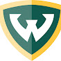 Wayne State School of Information Sciences - @SLISWSU YouTube Profile Photo