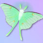 Luna Moth Media - @LunaMothMedia YouTube Profile Photo