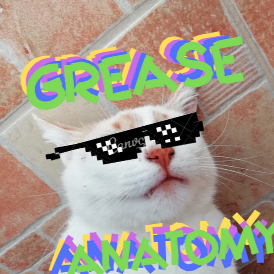 AMLnZu_oGumgCSrxi6TkkHvAHwxyIbzPfgIur91_0=s900ckc0x00ffffffnorj