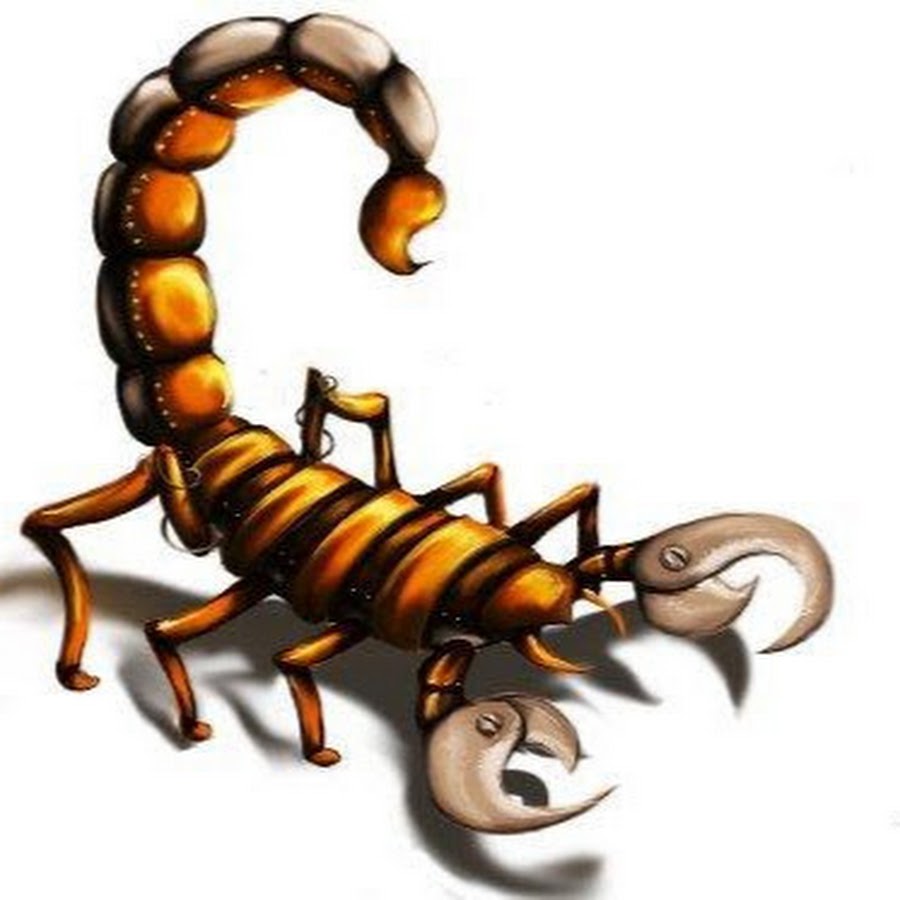 Скорпион детский рисунок