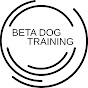 BetaTrains - @betatrains5250 YouTube Profile Photo