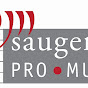 Saugerties Pro Musica - @saugertiespromusica1364 YouTube Profile Photo