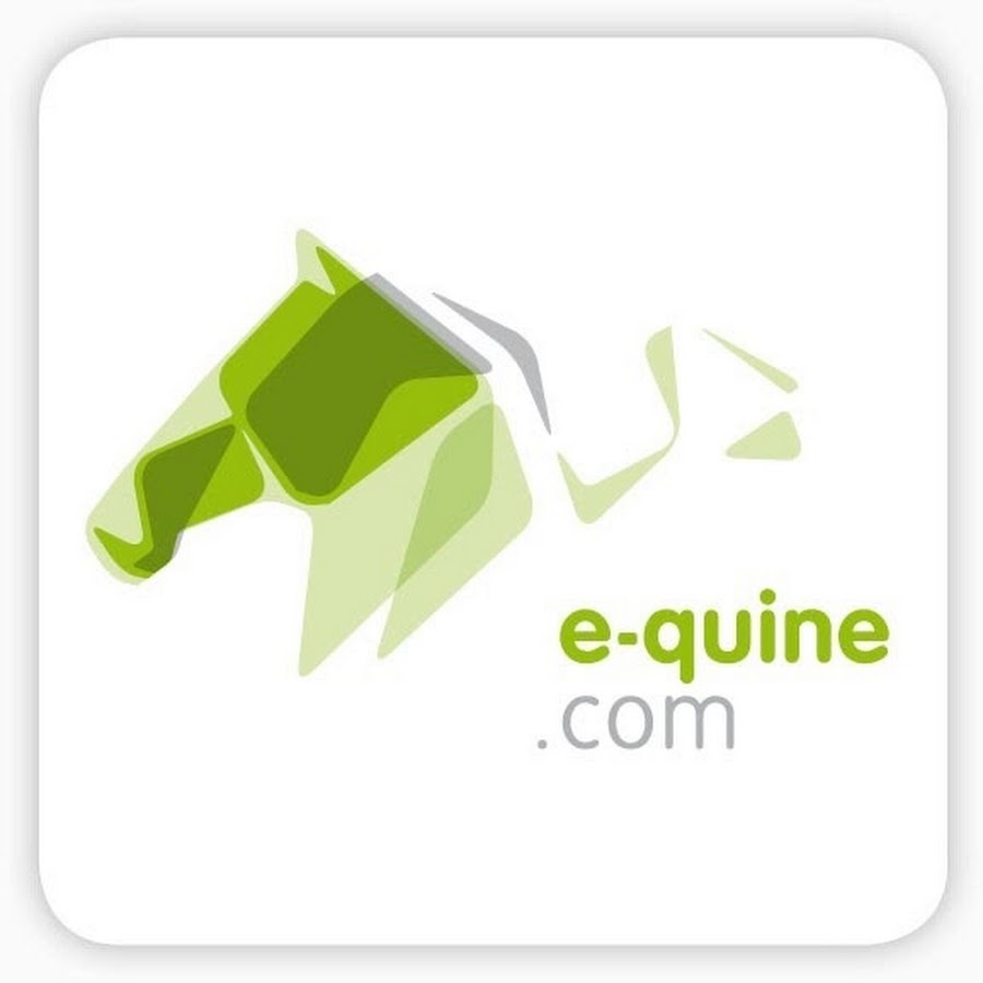 Quine. Icon Quine. Quine logo.