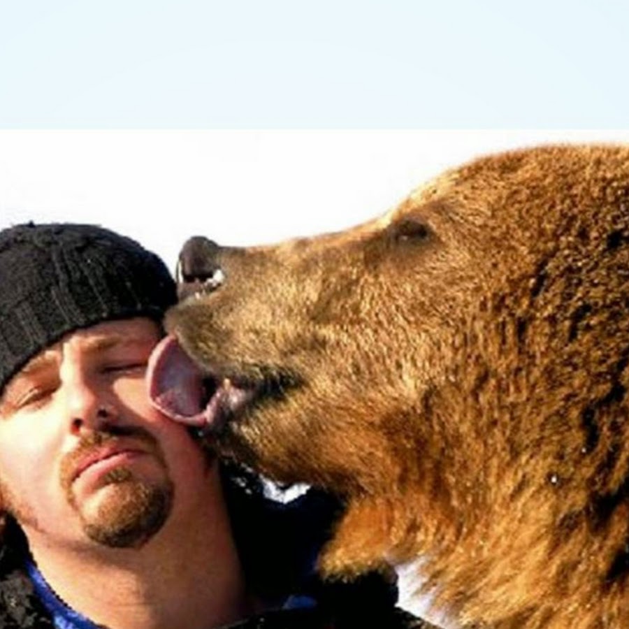 Дай лапу друг медведь