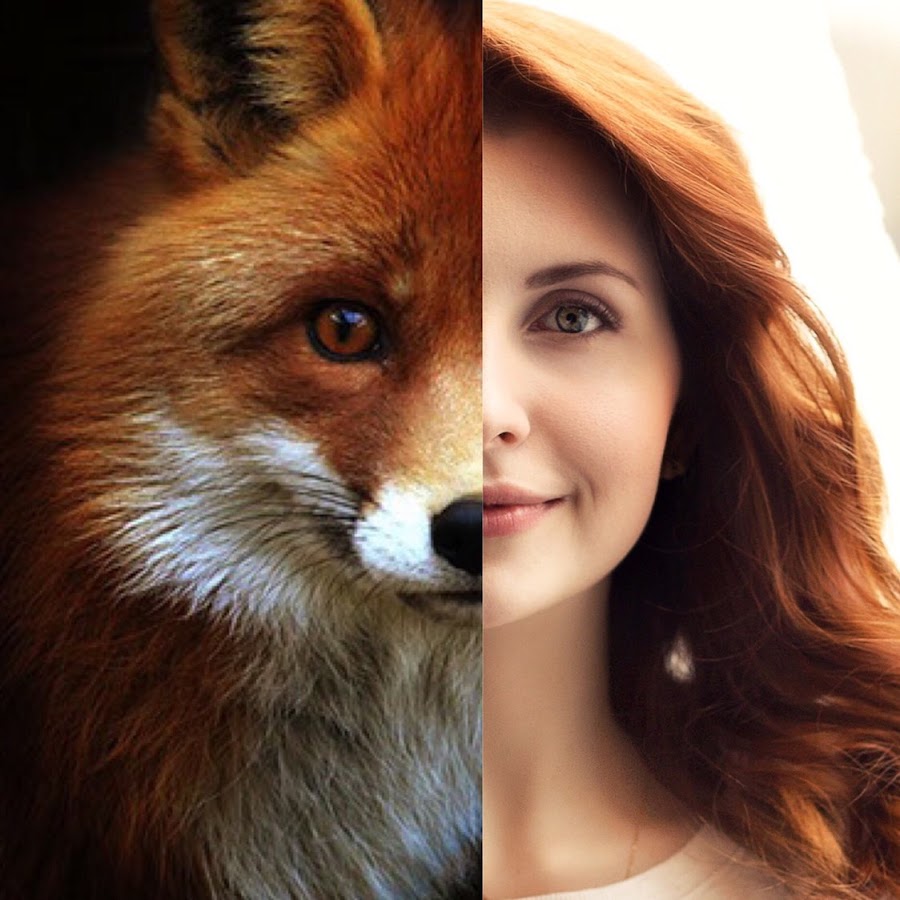 K fox. Лиса из Галамарта. Цвет волос лисы из ютуб. Fox Instagram. G15fox Instagram.