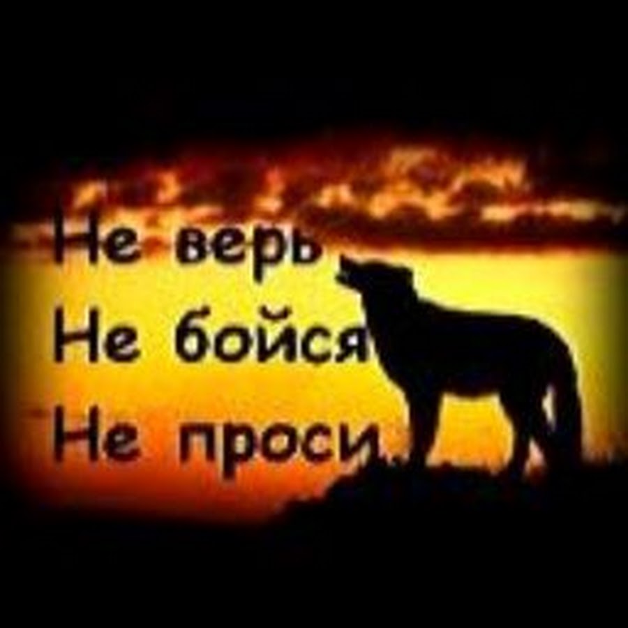 Не верь не бойся. Не бойся не проси. Не верь не бойся не проси на латыни. Не верь не бойся не проси волк. Не верь не бойся не проси фото.