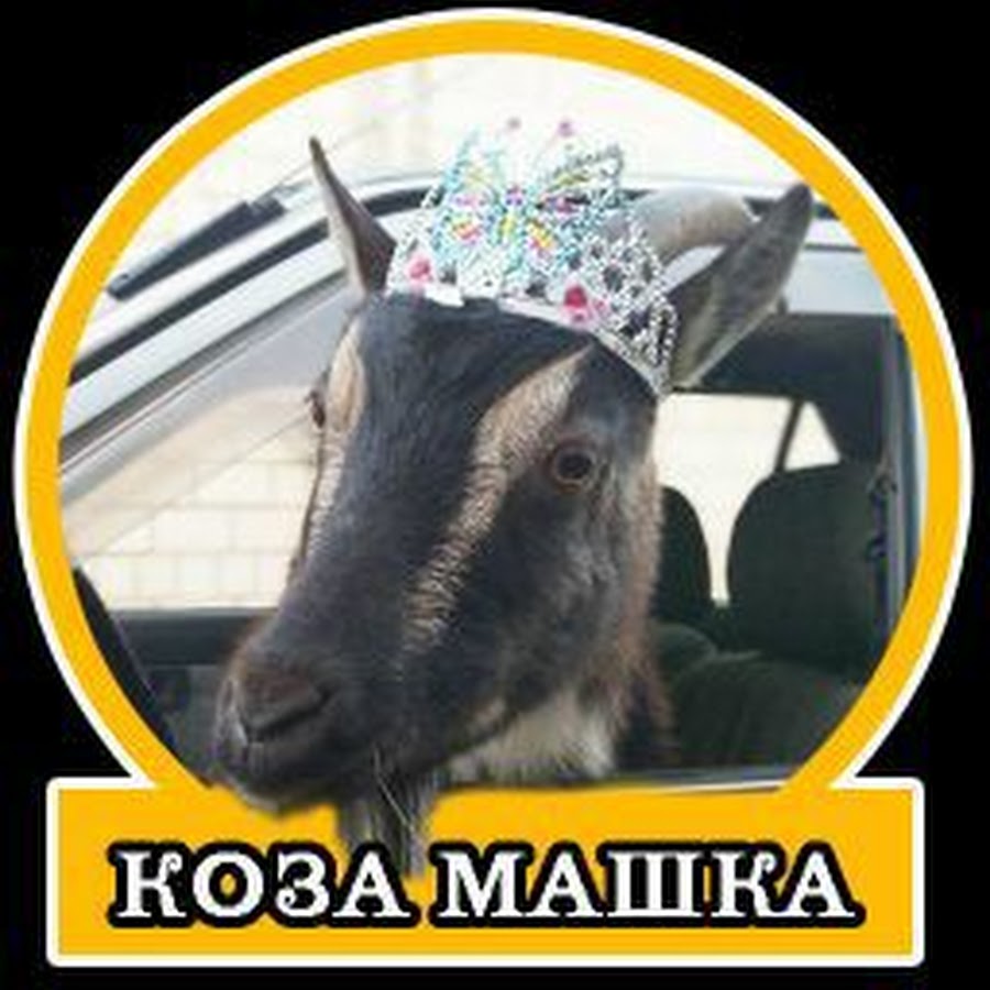 маша и медведь коза. маша коза. коза машка. коза белка. молодой козел.