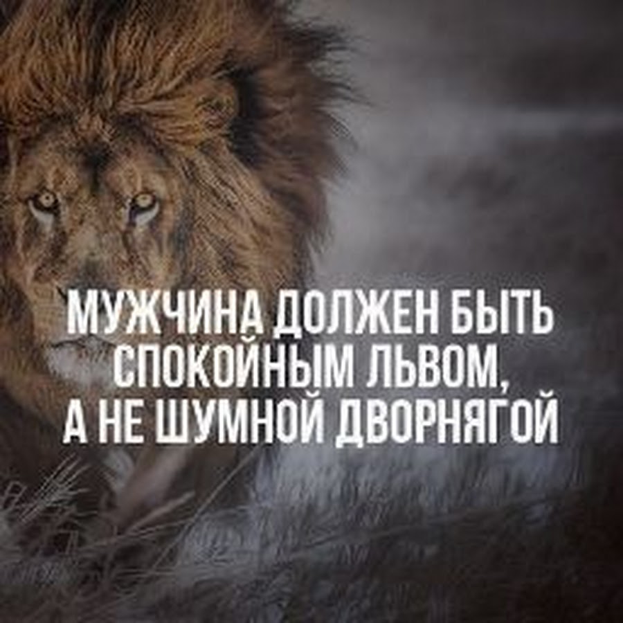 картинки льва с смыслом