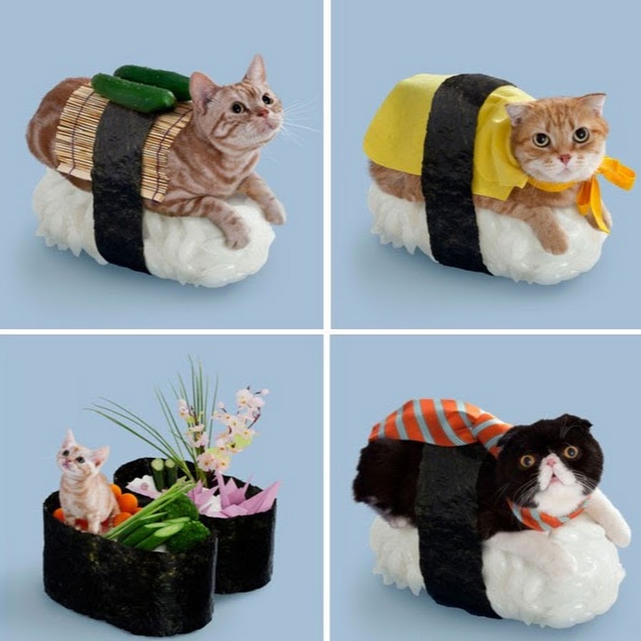 Roll cats. Животные суши. Подарки для любителей кошек. Суши в форме котика. Гасяпон котики.