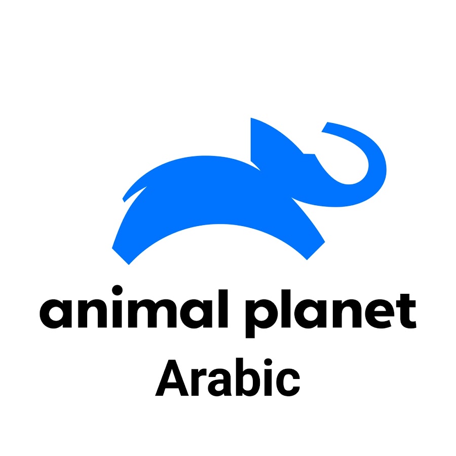 animal planet logo png