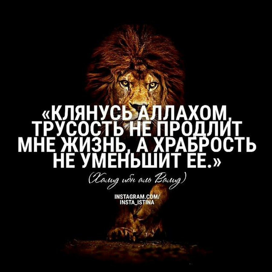 Трусость не продлит мне жизнь а храбрость не уменьшит ее. Клянусь Аллахом трусость не. Трусосость не продлит мне жизнь. Клянусь Аллахом трусость не продлит мне жизнь.