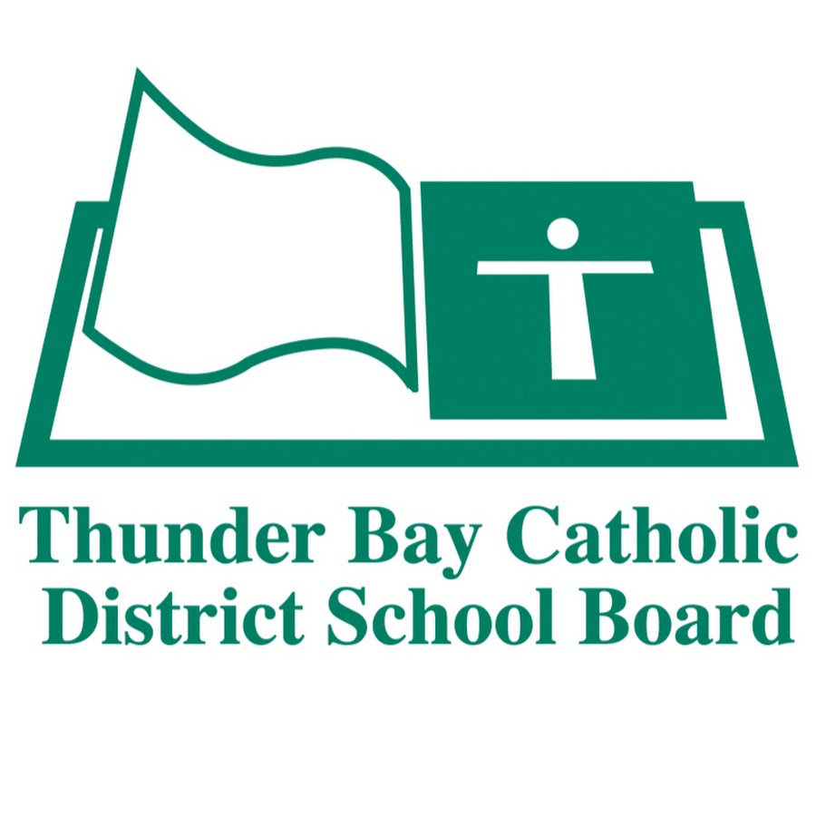 Safer school. Thunder Bay School. Программа safer School. York Catholic District School Board. Waterloo Catholic District School Board.