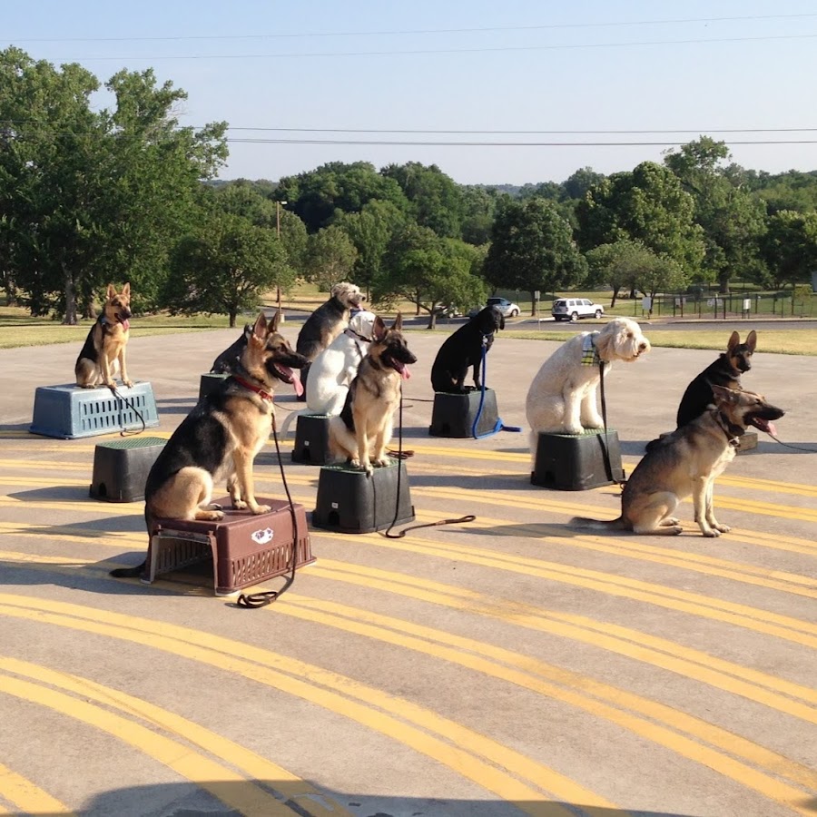 AOPolaQM2MEO_oRNqD2EfnZsWIW_AjpyacGbTIMXRkMy=s900ckc0x00ffffffnorj