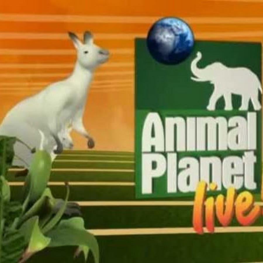 Телеканал Discovery animal Planet. Анимал планет игра. Анимал планет репортер. Планета животных на Ливанова.