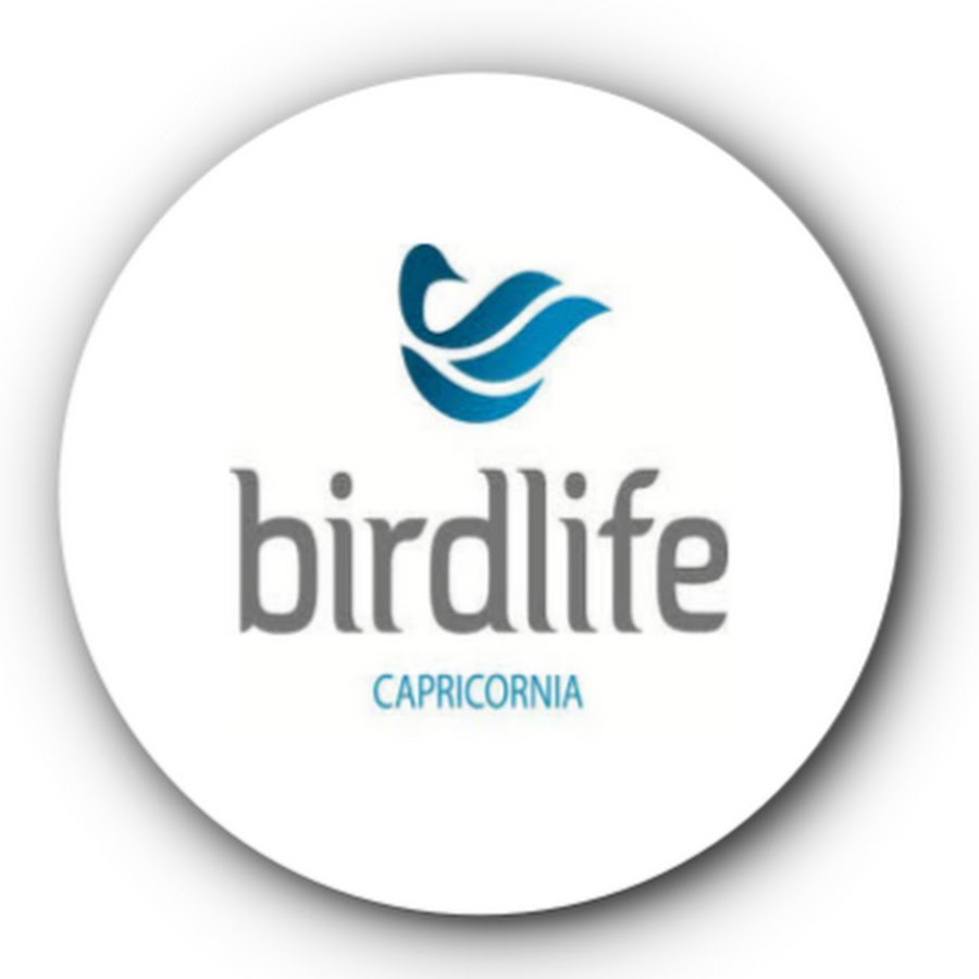 Birdlife international