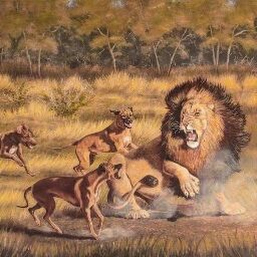 погонщик мулов живопись. характерные крики загонщиков зверя 7 букв. алексей степанович степанов лоси. родезийский риджбек лев. характерные крики загонщиков зверя 7 букв.