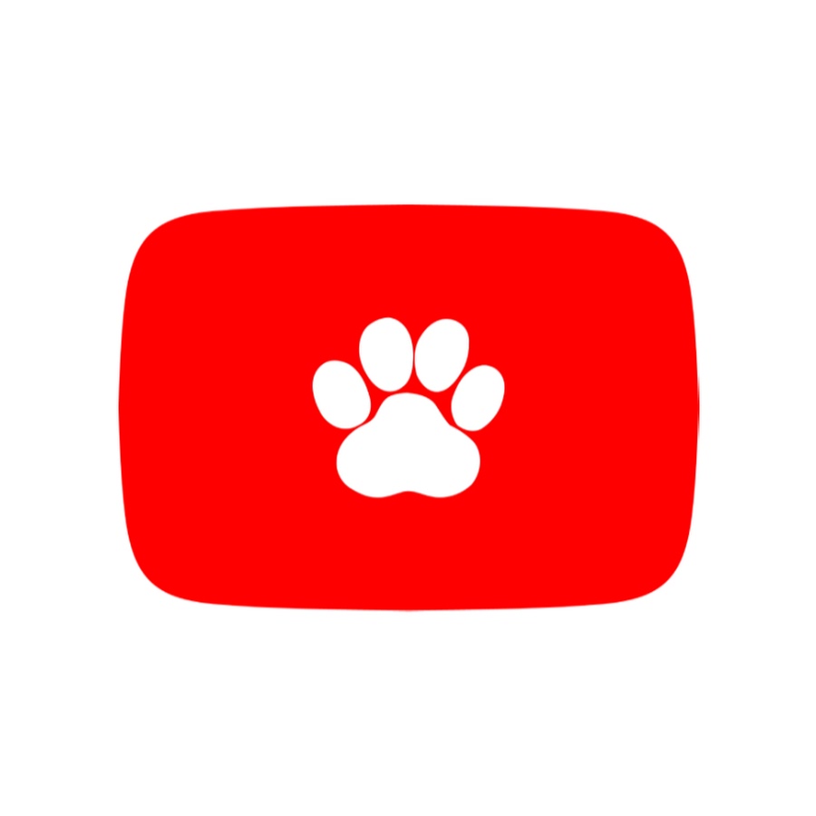 Pet youtube