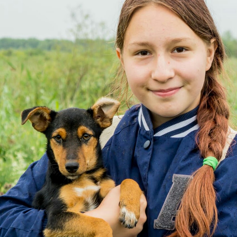 Приют белый бим. Собака Белла из приюта. Фото Овсянникова собаки. Какие они милые из приюта и теперьысказываниями.