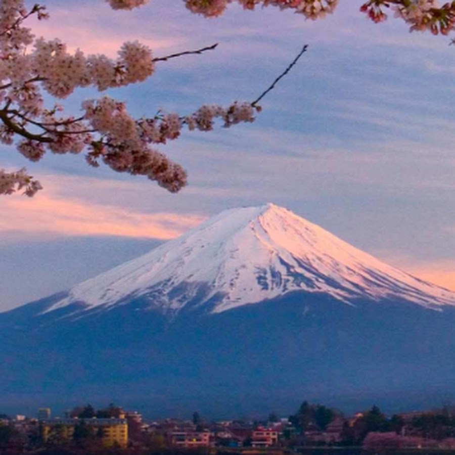 Фудзияма работа. Фудзияма Япония. Гора Фудзияма. Символ Японии - гора Фудзияма.. Гора Фудзияма и Сакура.