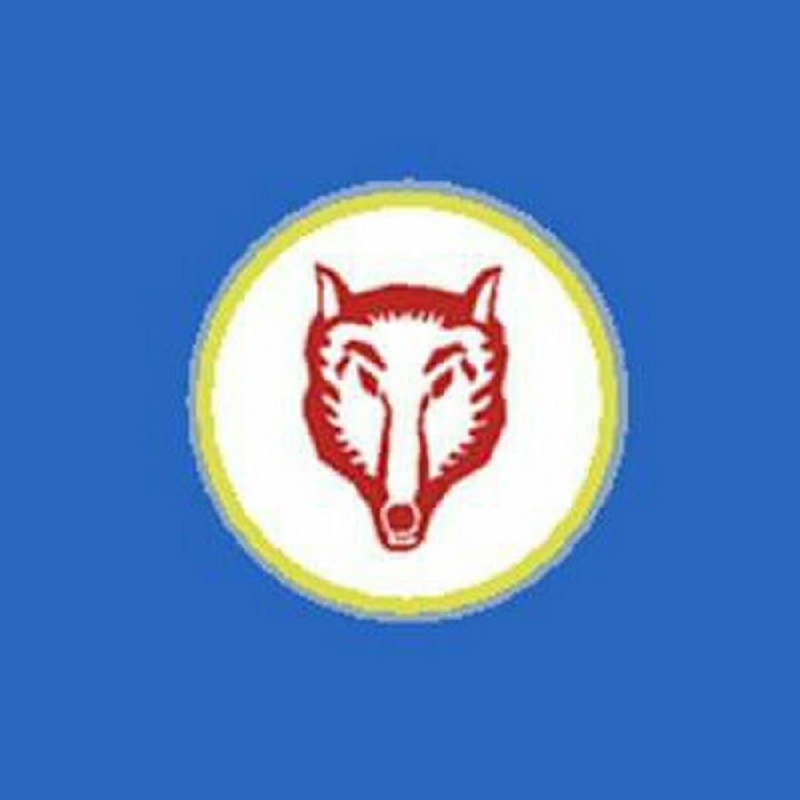 Гагаузия флаг. Флаг Гагаузии с волком. Гагаузская Республика флаг волка. Герб гагаузов. Волк символ гагаузов флаг.