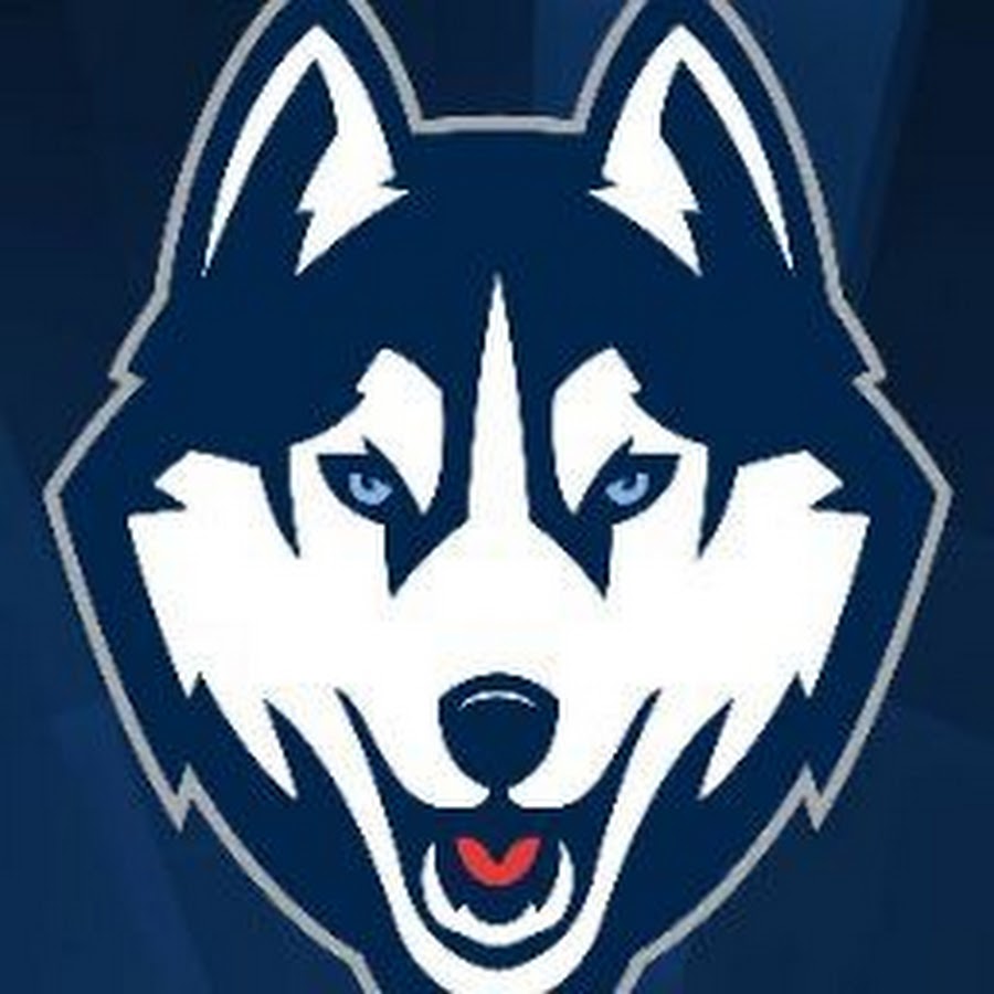 Такси хаски. Такси подкова. Хаски за рулем. Пес за рулем. Хаски вектор.