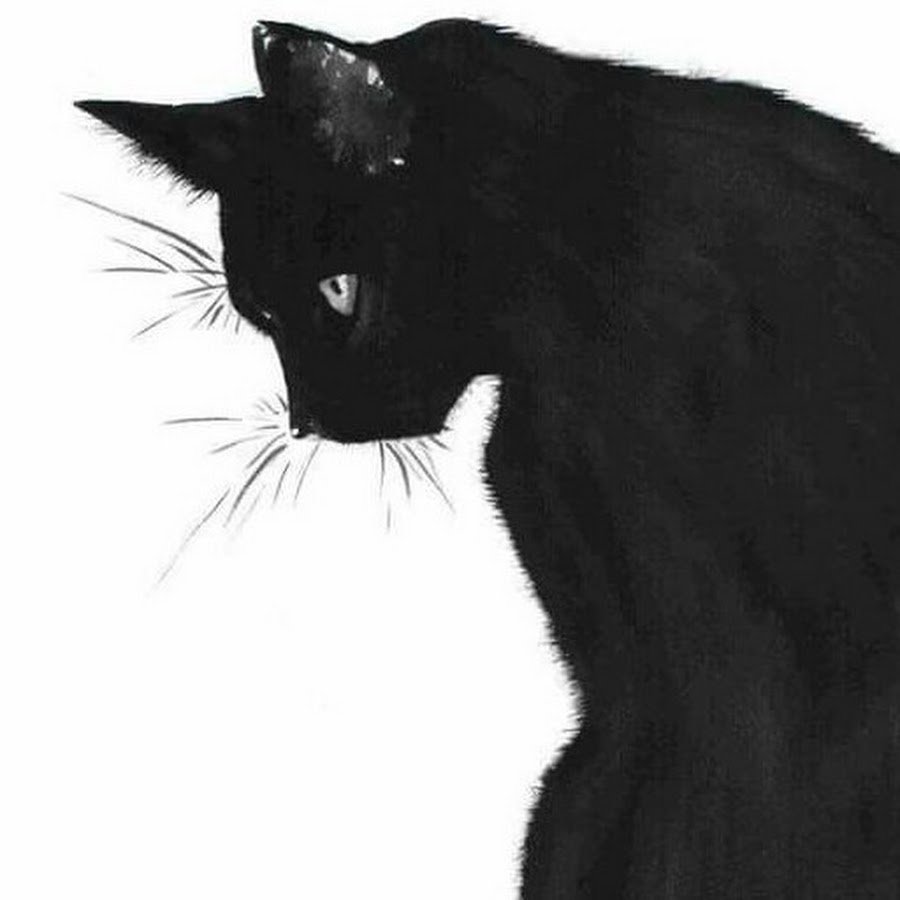 Черно белая кошка арт