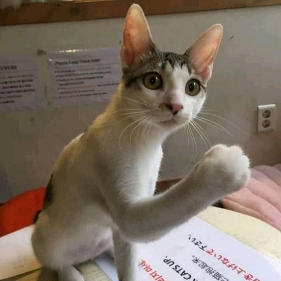 Giga Chad Meme Template 0E5