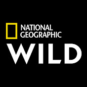 National Geographic - Youtube