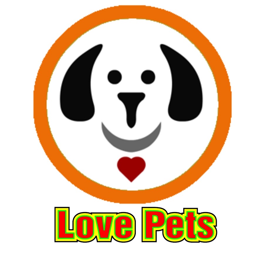 Pet Love. Love is Pets.