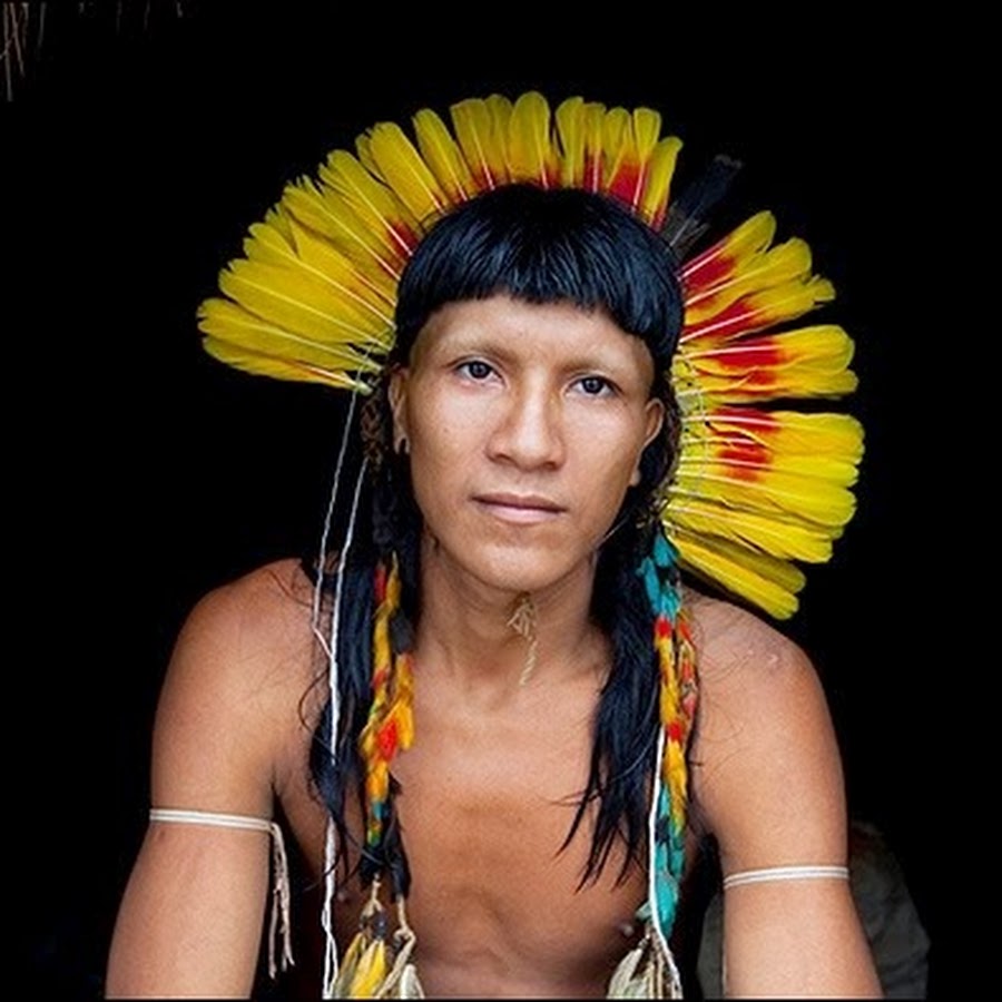Кожа индейца. Цвет кожи индейцев. Индейцы Бразилии. Цвета индейцев. Индейцы Гуарани.