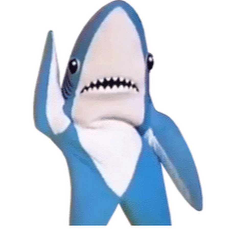 Shark said