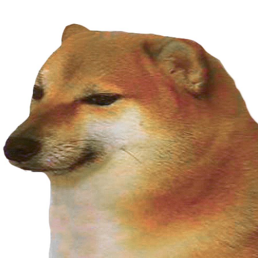 This is doge steam фото 4