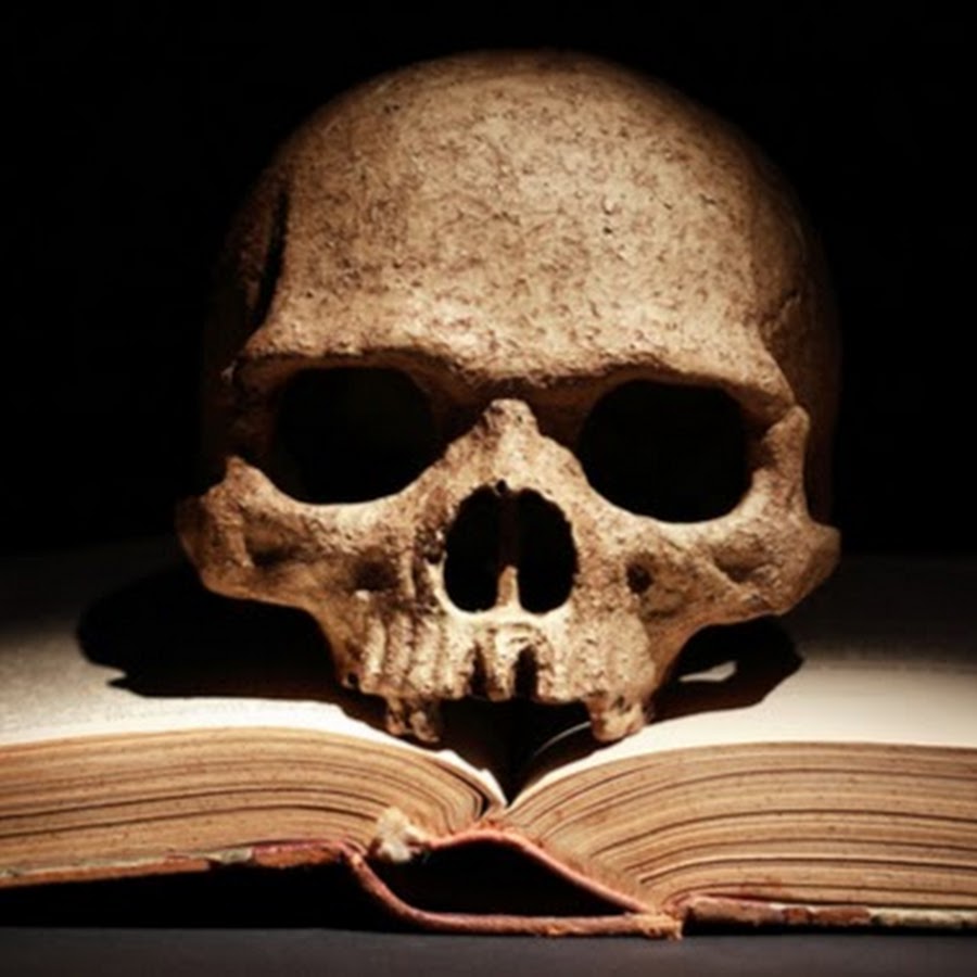 Terraria книга черепов фото 12