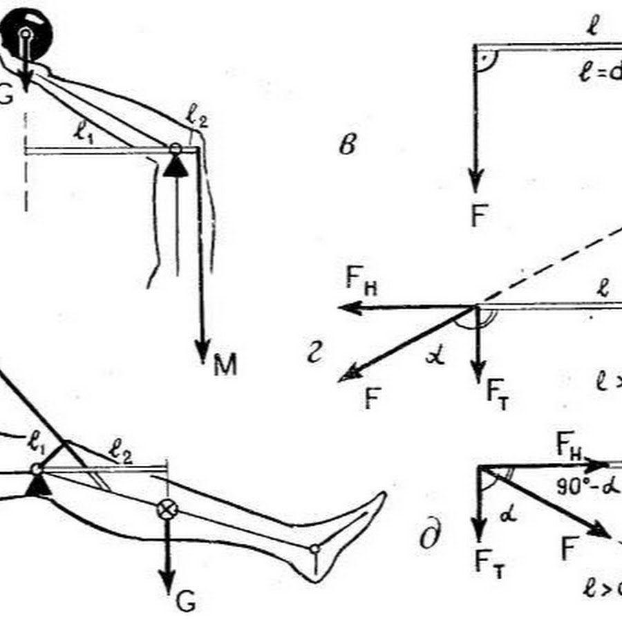 Силы рычагов человека. Рычаги в биокинематических цепях. Кинематическая цепь и рычаги в биомеханике. Плечо силы в биомеханике. Рычаг в биомеханике схема.