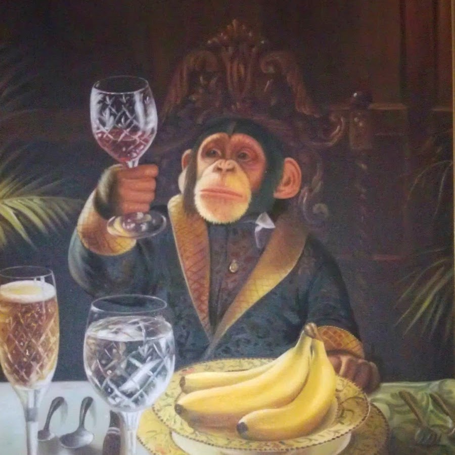 фото обезьяны с пивом