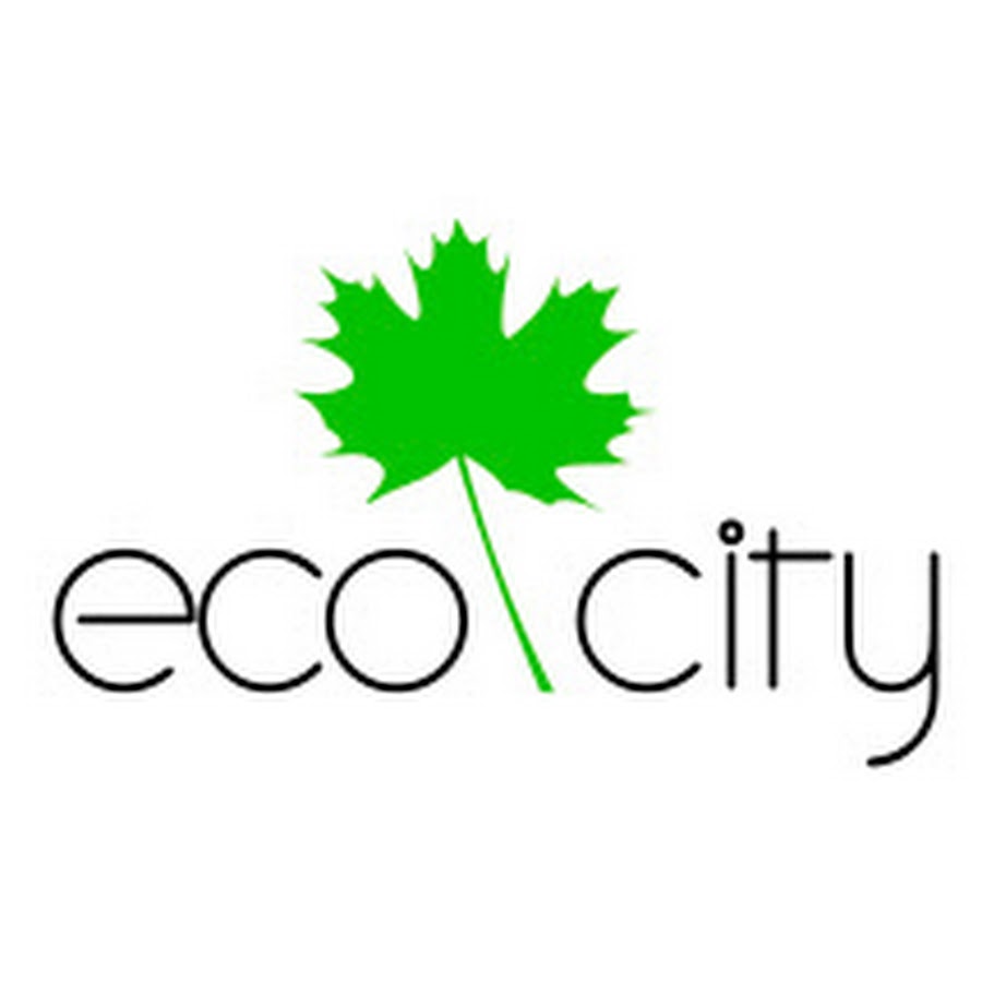 Эко кыргызстан. Эко компания. Eco City. Эко Сити лого. Эко СПБ.