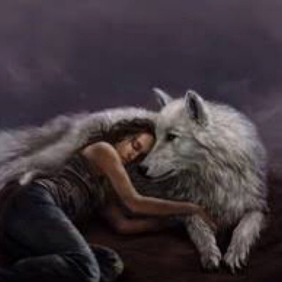 Обнимая волка. Волк обнимает девушку. Девушка с волком. Обнимает волка.