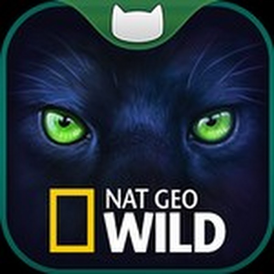 Программа geo wild