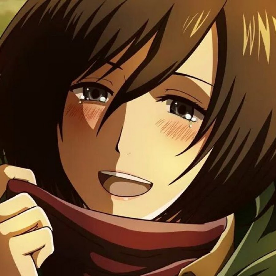 Mikasa steam profile фото 24