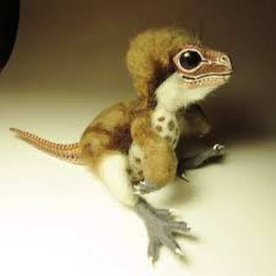 Velociraptor Hatchling