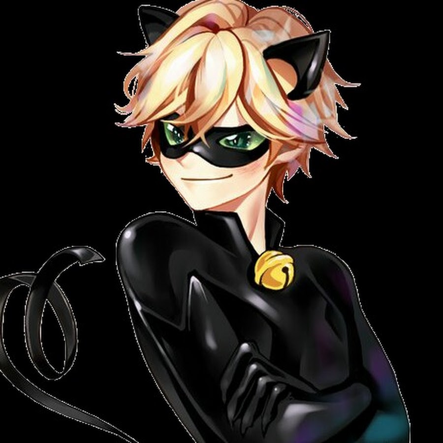 Cat noir. Супер кот женщина. Cat Noir Unify with fluff.